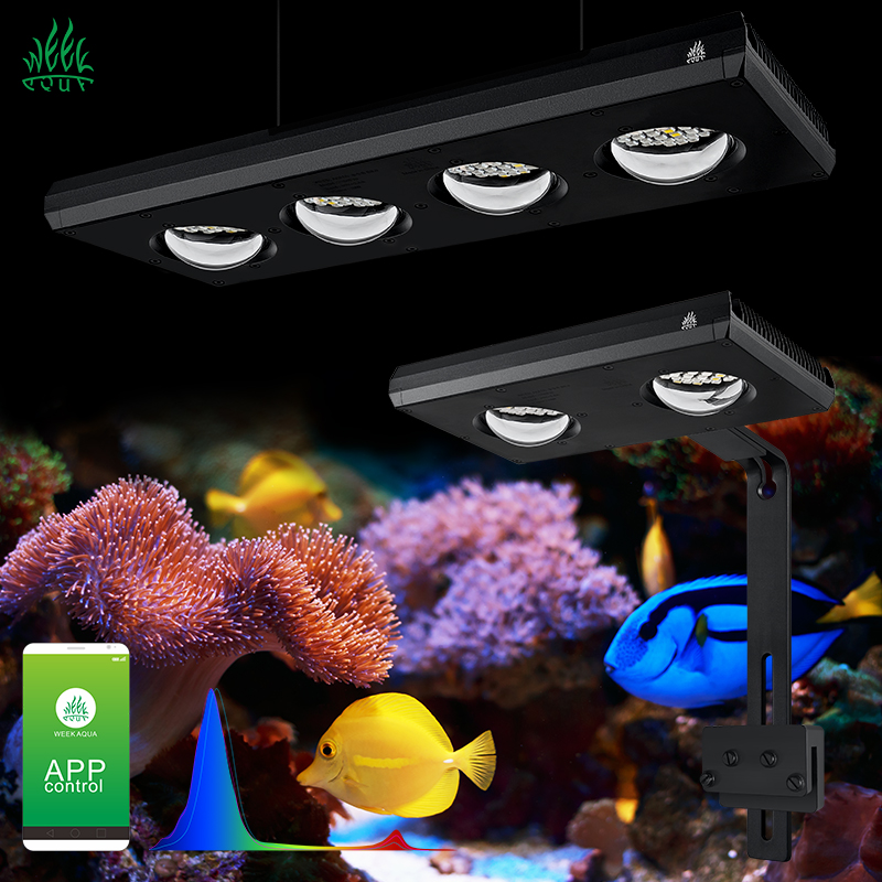 Marine Aquarium App - ZXY gran oferta WEEKAQUA Z250 Z400sea