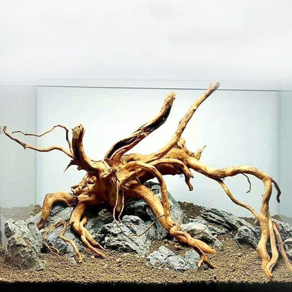 Marine Aquarium Aquascape - Decoración de tronco de árbol Natural