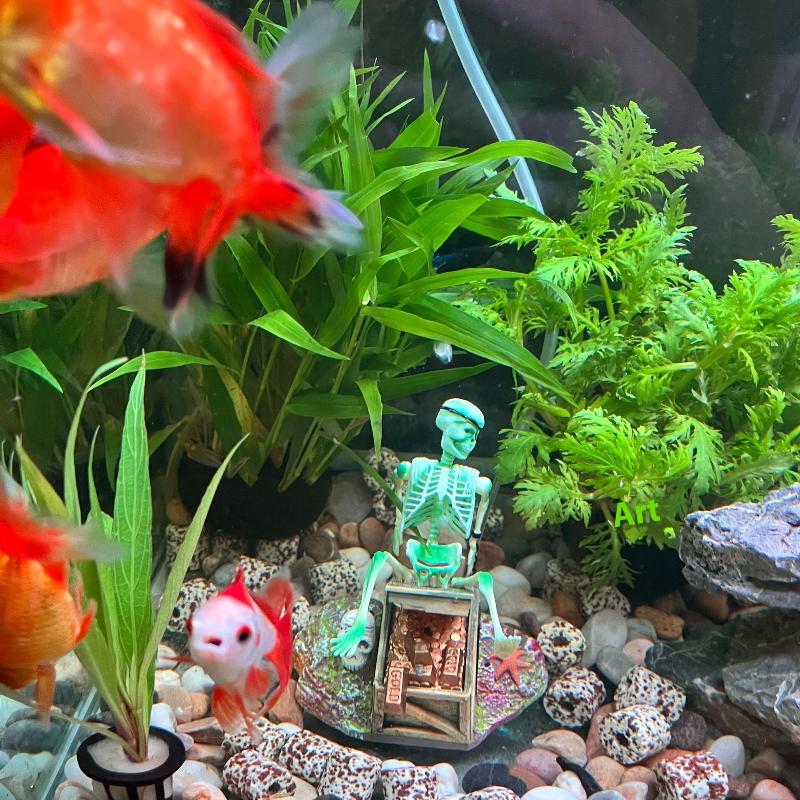 Bomba de aire de burbujas de p - Marine Aquarium Aquascape reseña y precio
