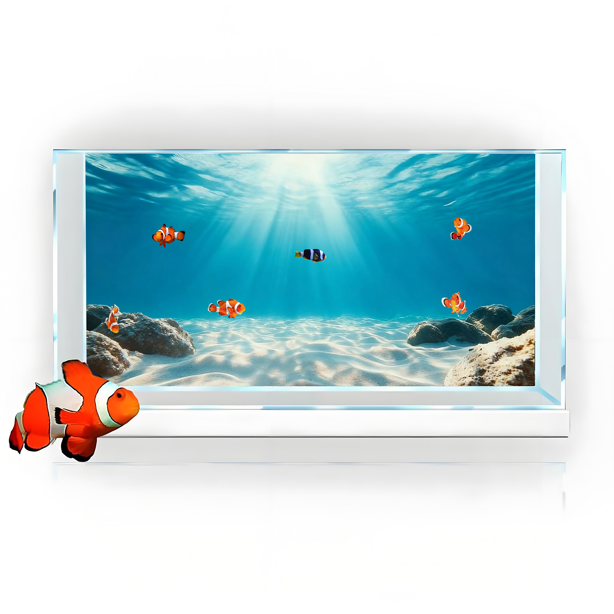 Pintura de Fondo para Acuario  - Marine Aquarium Glue reseña y precio