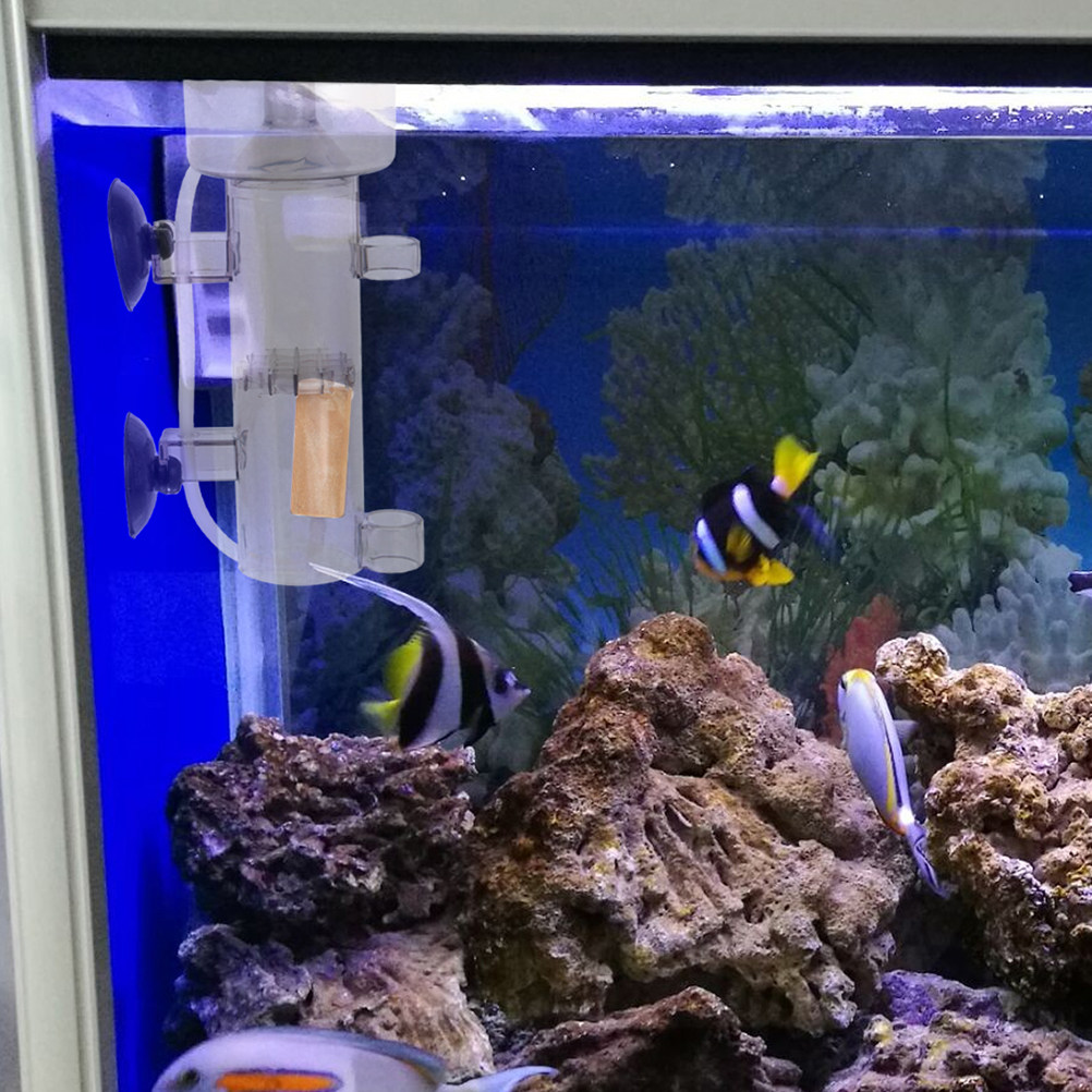 Separador de Proteínas Acrílic - Aquarium And Marine reseña y precio