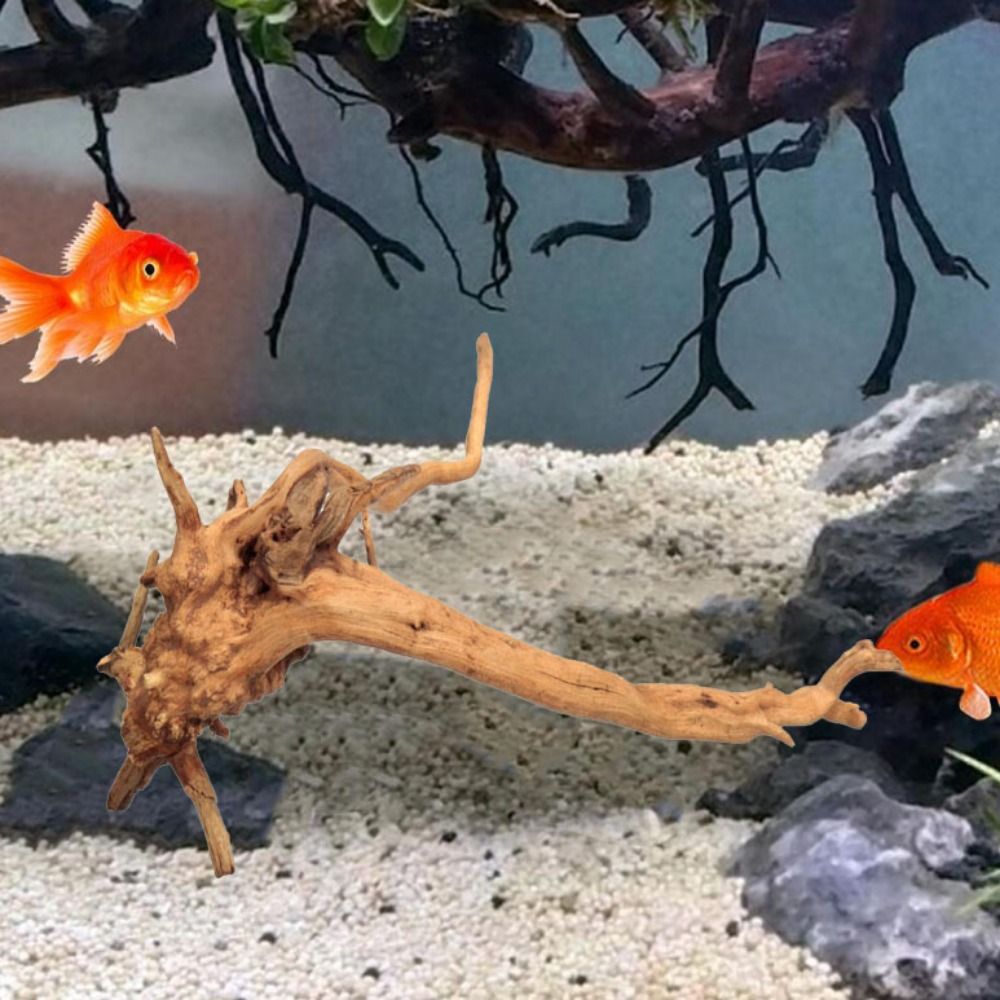 Decoración de tronco de árbol  - Marine Aquarium Aquascape reseña y precio