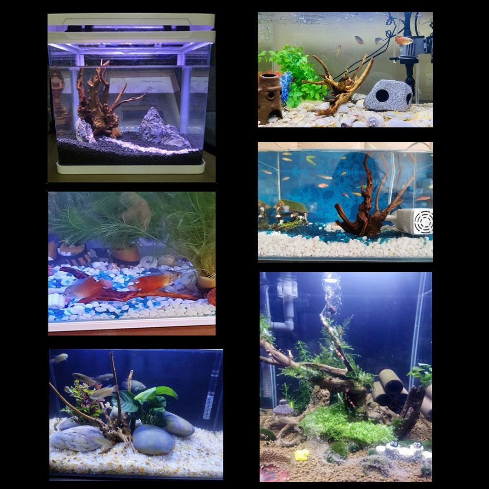 Decoración de tronco de árbol  - Marine Aquarium Aquascape reseña y precio