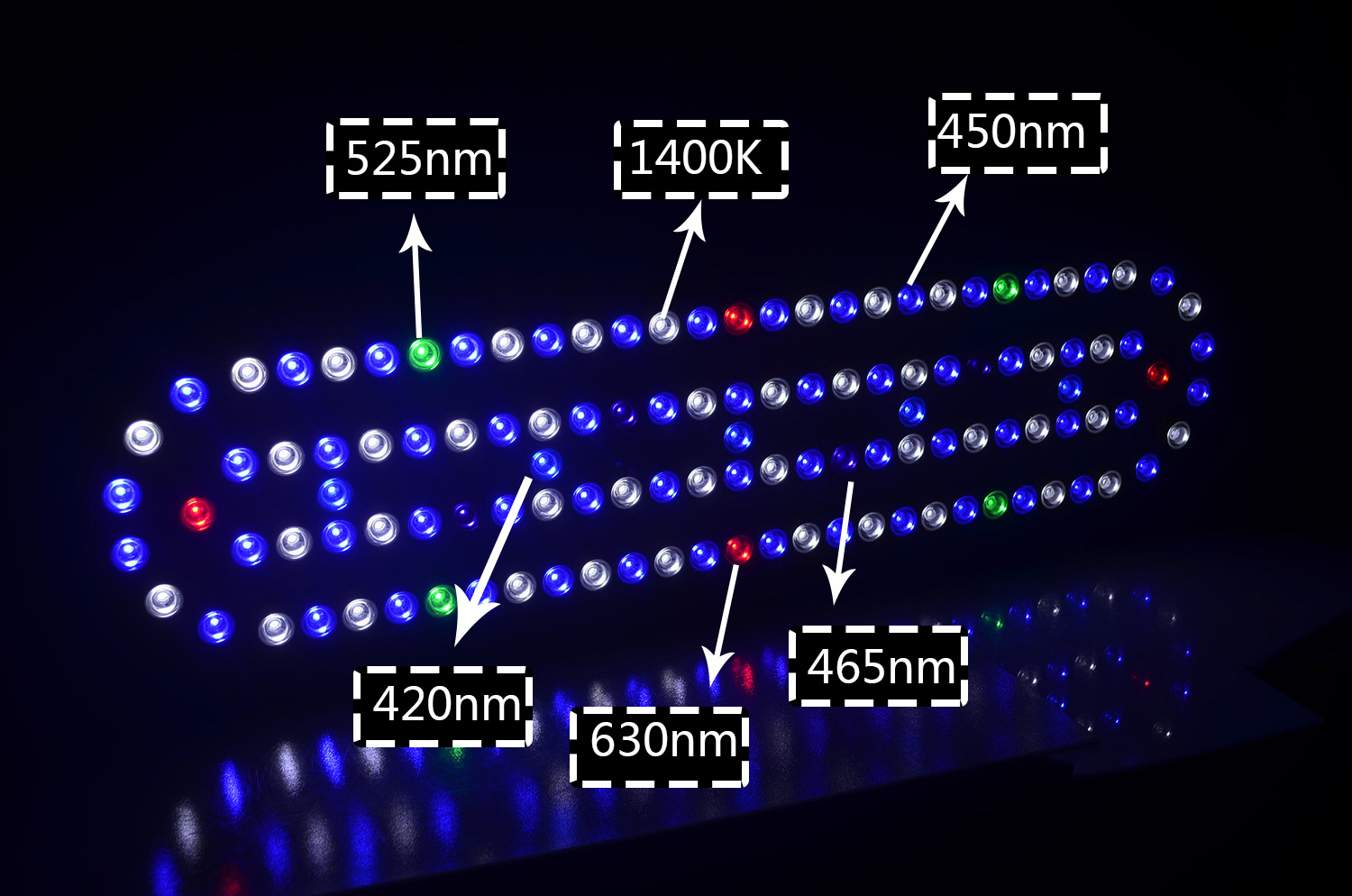Lámpara LED para Acuario con C - Marine Aquarium App reseña y precio