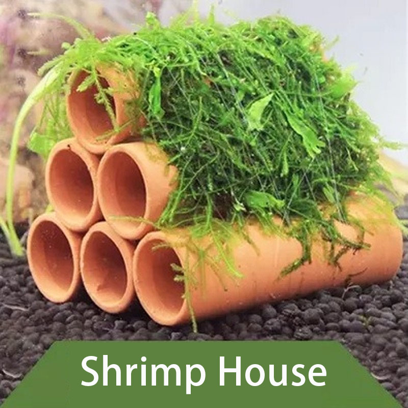 Decoración de acuario de arcil - Marine Aquarium Aquascape reseña y precio