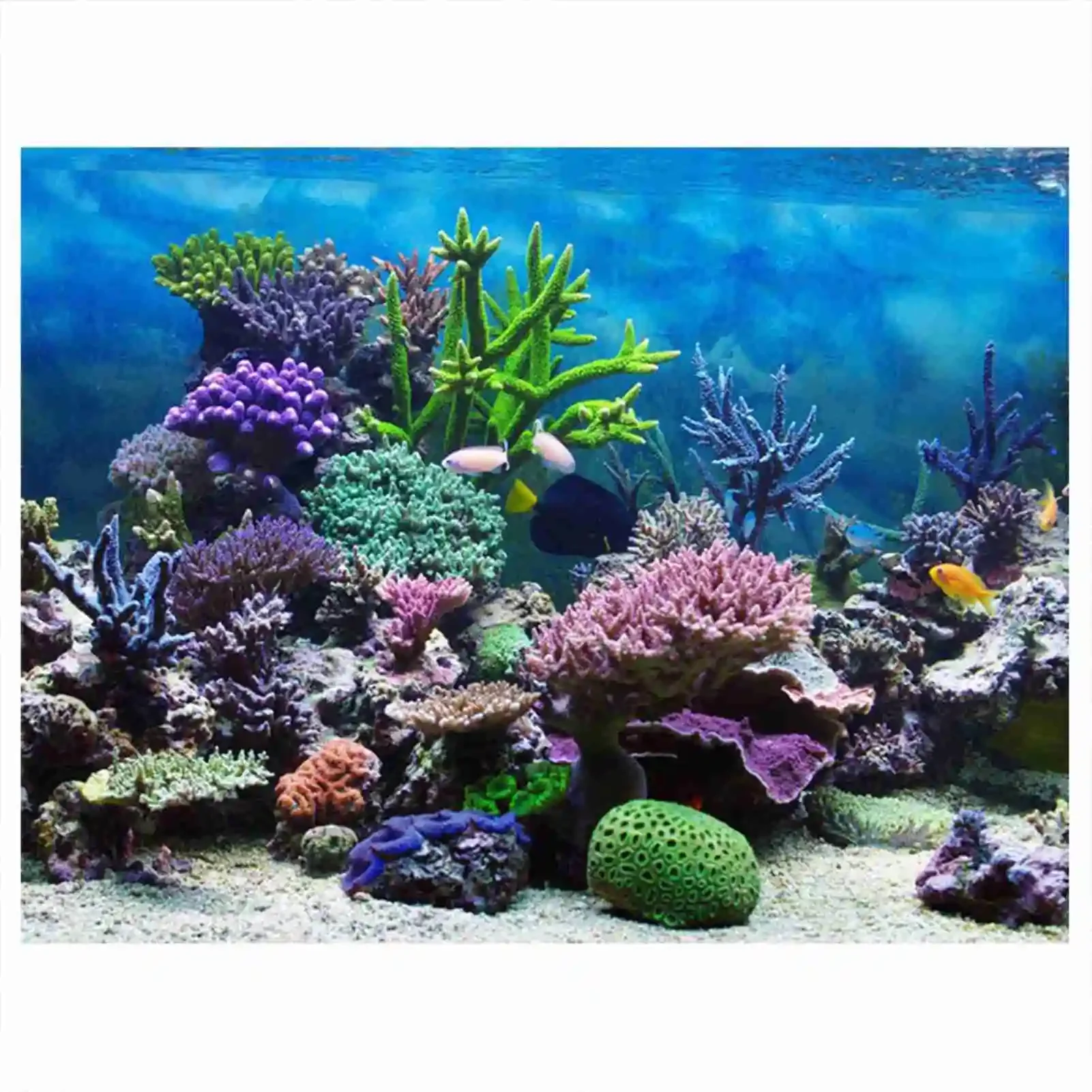 Póster de paisaje de acuario 3 - Marine Aquarium Glue reseña y precio