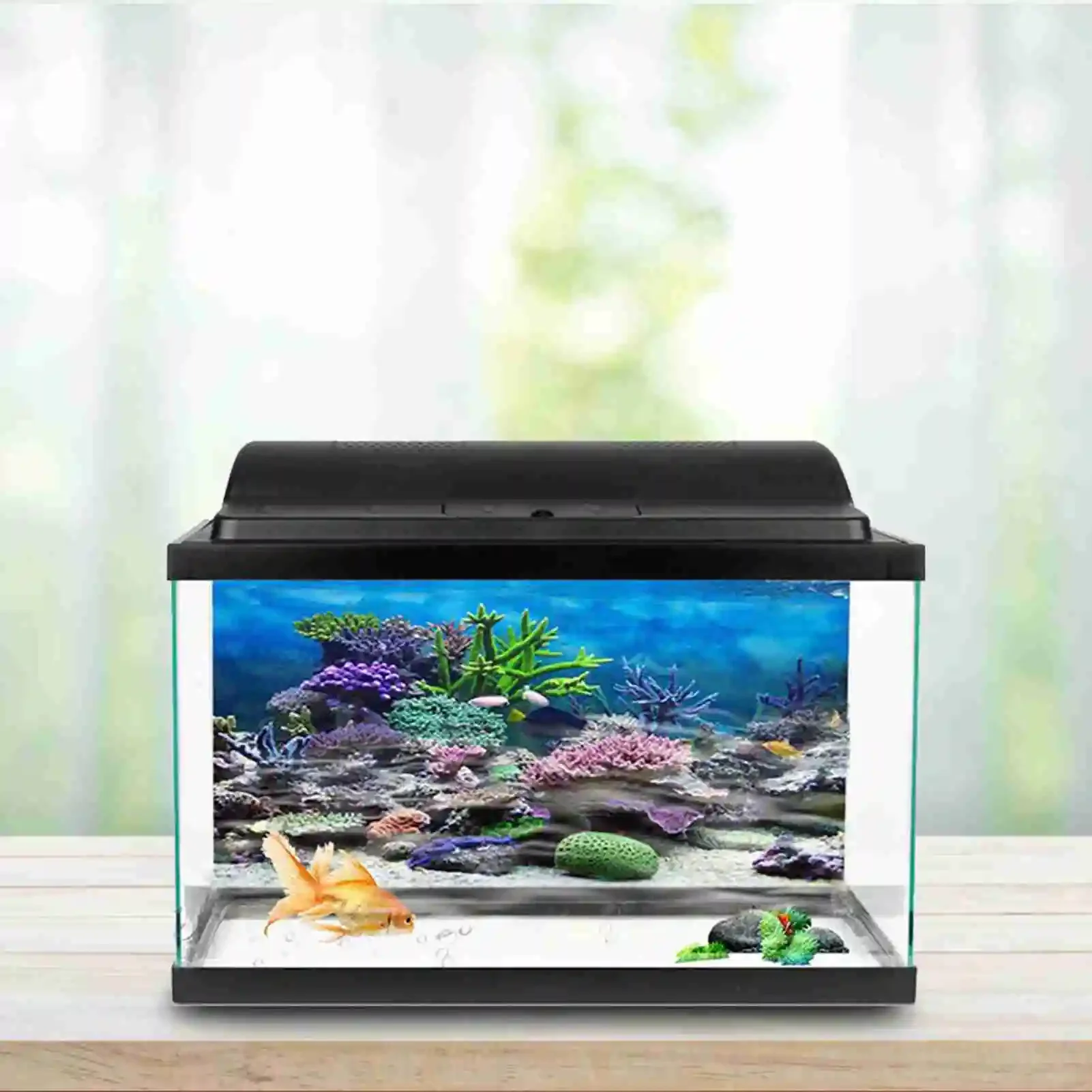Póster de paisaje de acuario 3 - Marine Aquarium Glue reseña y precio