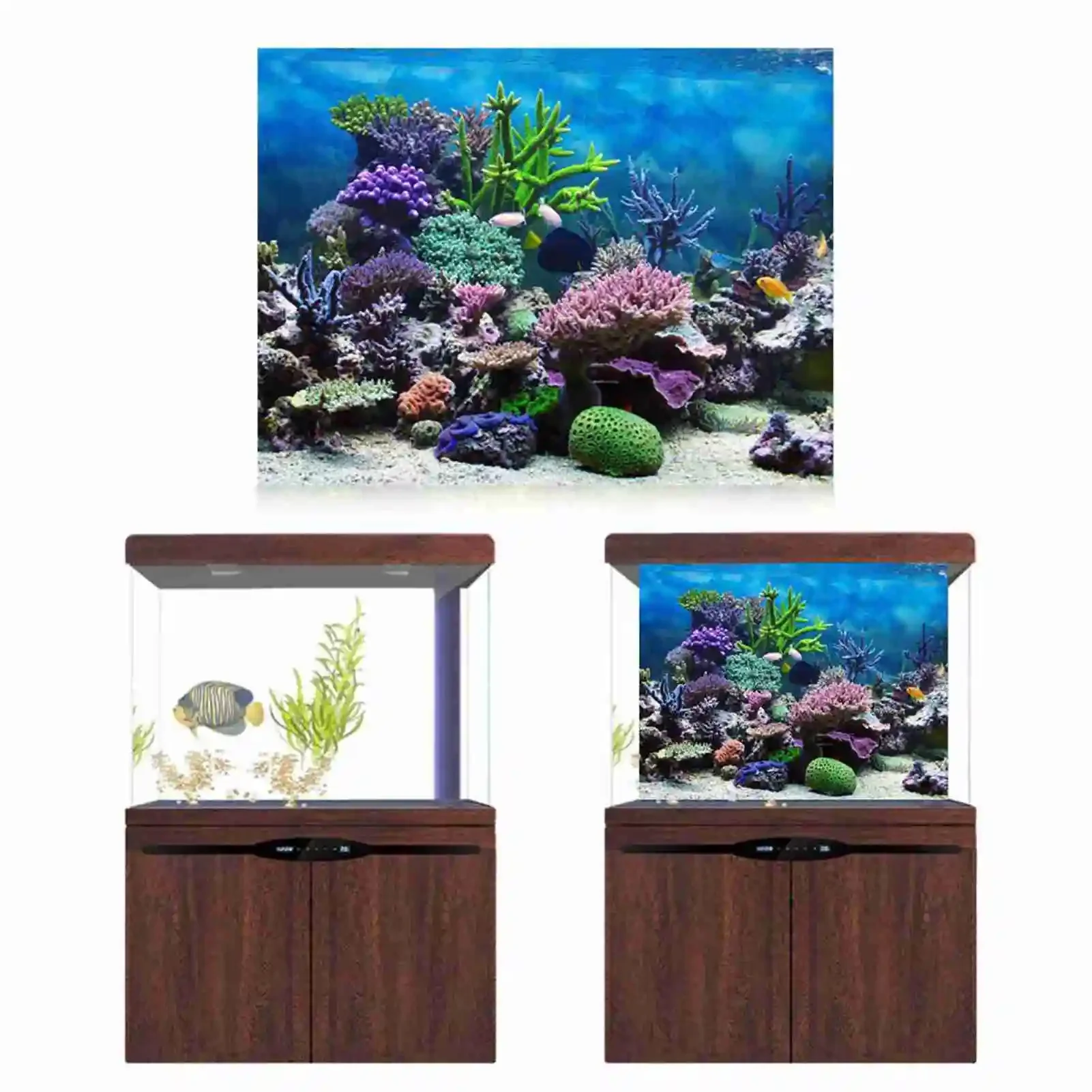 Póster de paisaje de acuario 3 - Marine Aquarium Glue reseña y precio