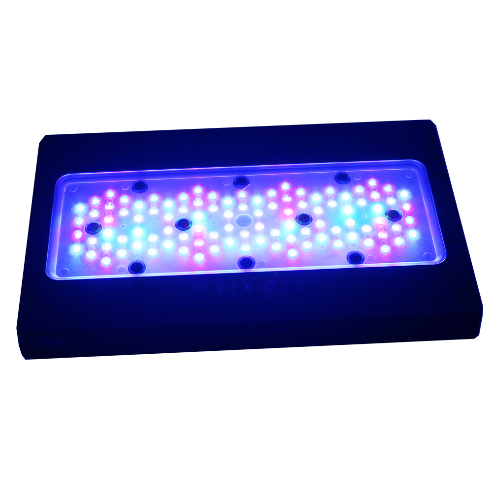 Iluminación LED Marina para Ac - Marine Aquarium App reseña y precio