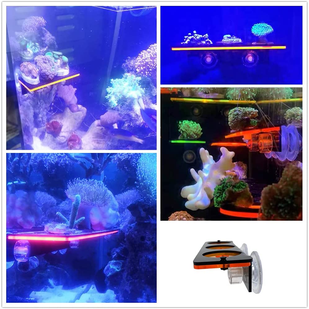 Soporte de enchufe de Coral fl - Marine Aquarium Aquascape reseña y precio