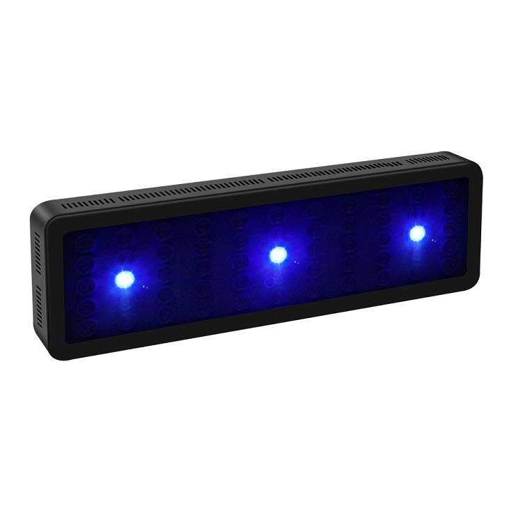 BT Control inalámbrico DIY esp - Marine Aquarium Price reseña y precio