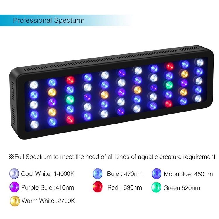BT Control inalámbrico DIY esp - Marine Aquarium Price reseña y precio