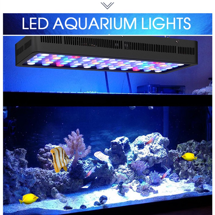 BT Control inalámbrico DIY esp - Marine Aquarium Price reseña y precio